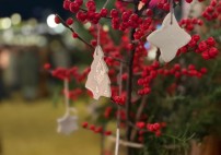 2aca7ab9-a7ea-486f-9dfa-733964e8d684